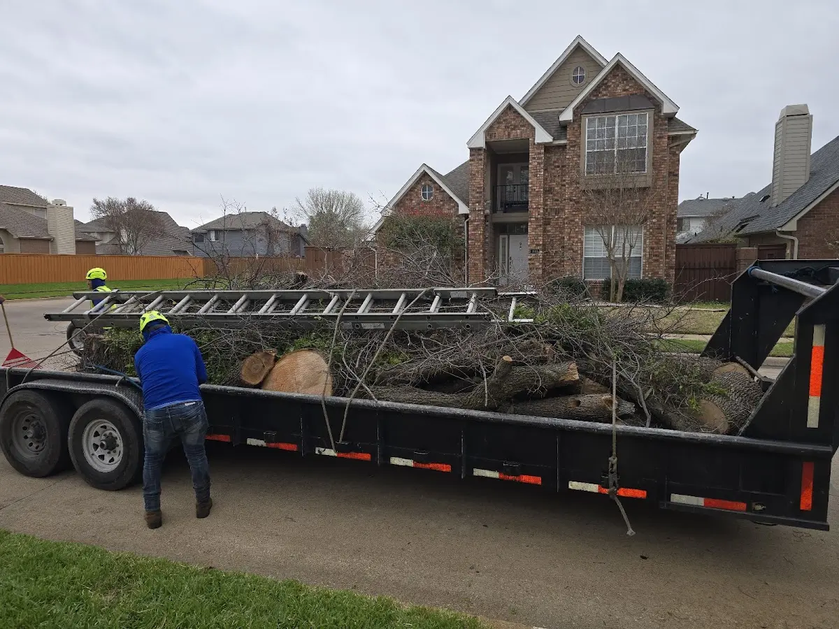 Expert Tree Fertilization with proper safety equipment in Rocky Gap